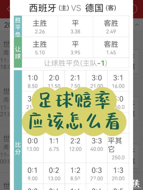 世界杯下注入口赔率与收益分析指南